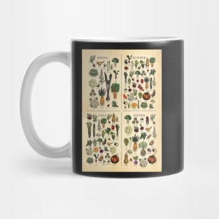 American Northeast Seasonal Fruit and Vegetable vintage etching. Mug